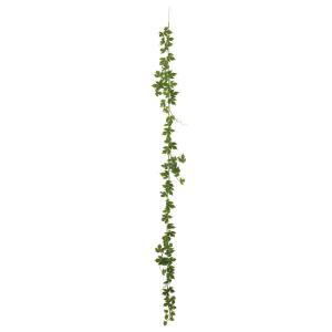 ASCA アスカ メープルアイビーカーランド (A-44656-052B)【入数:6】 7,368円
