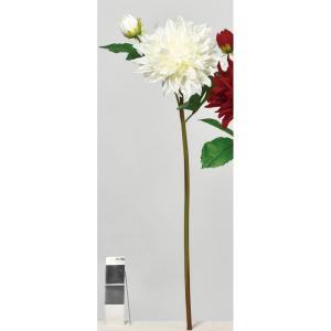 ASCA アスカ ダリア ホワイト (A-34518001)【入数:12】｜ECJOY！店