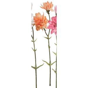 ASCA アスカ カーネーション×2 (A-35174-004A)【入数:24】