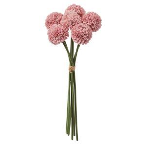 ASCA アスカ ポンポンマムバンチ(1束6本) (A-35207-055P)【入数:12】｜ECJOY！店