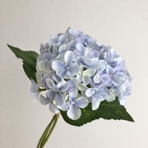 ASCA アスカ ハイドランジアバンチ(1束3本) (A-35203-019)【入数:12】