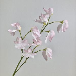 ASCA アスカ スイトピー&times;10 (A-35210-013)【入数:12】｜ECJOY！店
