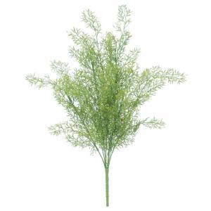 ASCA アスカ スプレンゲリーブッシュ (A-42987-051A)【入数:12】｜ECJOY！店 10,770円