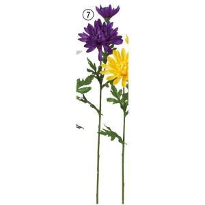 ASCA アスカ 菊 X 2 (A-34267-007)【入数:24】