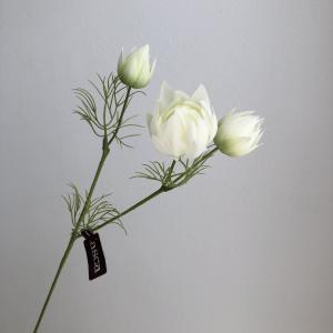 ASCA アスカ セルリアX3 (A-34313-052)【入数:12】