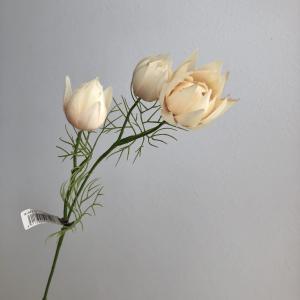 ASCA アスカ セルリアX3 (A-34313-008)【入数:12】｜ECJOY！店