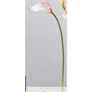 ASCA アスカ カラーリリィ (A-34317-001P)【入数:24】｜ECJOY！店