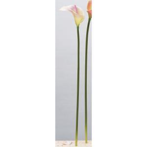 ASCA アスカ カラーリリィ (A-34318-003C)【入数:12】｜ECJOY！店