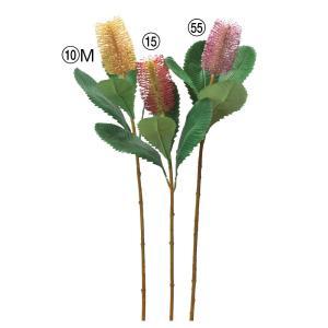 ASCA アスカ バンクシア (A-34341-010M)【入数:12】 花・観葉植物-造花・人工観葉植物-造花