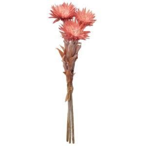 ASCA アスカ エバーラスティングバンチ(1束3本) (A-34394-038)【入数:24】｜ECJOY！店