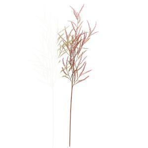 ASCA アスカ グレビレアステム (A-44077-055)【入数:12】