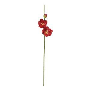 ASCA アスカ 梅爪(1袋6本入) (A-73394-002)【入数:12】