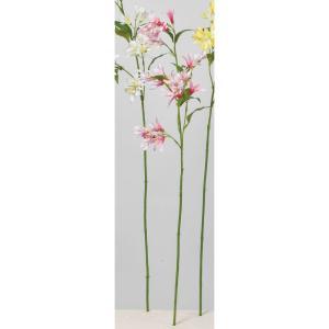 ASCA アスカ ハニーサックルX36 (A-34496-003E)【入数:24】｜ECJOY！店