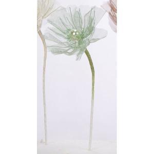ASCA アスカ シフォンポピー (A-34595-051M)【入数:24】