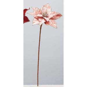 ASCA アスカ ポインセチア (AX60338-003)【入数:12】 花・観葉植物-花・ガーデン・DIY