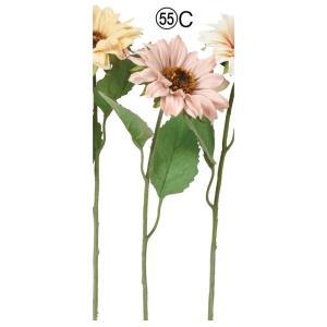 ASCA アスカ サンフラワー (A-34809-055C)【入数:24】