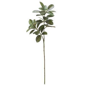 ASCA アスカ リーフスプレー (A-44421-051A)【入数:24】｜ECJOY！店 11,718円