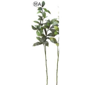 ASCA アスカ リーフスプレー (A-44423-051A)【入数:12】
