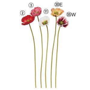 ASCA アスカ 芥子 (A-34828-055W)【入数:48】