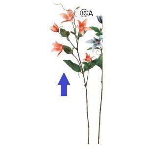 ASCA アスカ クレマチスX5 蕾XX3 (A-34846-013A)【入数:12】