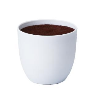 ASCA アスカ ポット (A-10712-001)【入数:12】 花・観葉植物-造花・人工観葉植物