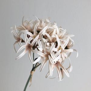 ASCA アスカ ネリネリリィバンチ(1束3本) (A-34939-091)【入数:12】