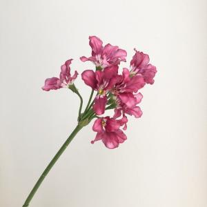 ASCA アスカ リコリス×9 (A-34951-026)【入数:24】