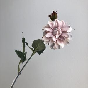 ASCA アスカ ダリア×1 蕾×1 (A-34957-055Y)【入数:24】