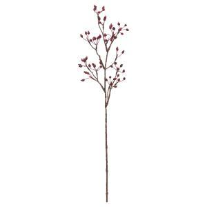 ASCA アスカ ベリースプレー (A-48019-002)【入数:12】｜ECJOY！店 6,958円