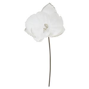 ASCA アスカ コチョウランピック (A-39682-001)【入数:48】|ECJOY!店