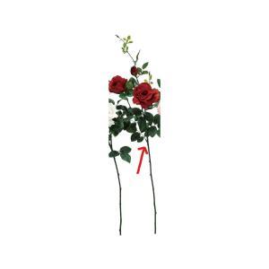 ASCA アスカ ブレンダローズX2 つぼみX1 (A-33915-002)【入数:12】｜ECJOY！店