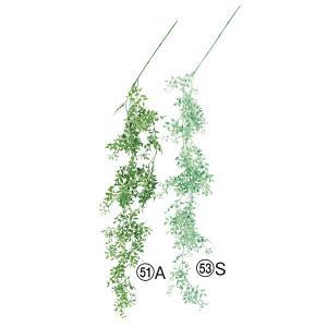 ASCA アスカ スマイラックスバイン (A-43538-051A)【入数:12】