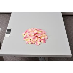 ASCA アスカ ローズペタル(1袋約100枚入) (A-15735-003G)【入数:12】