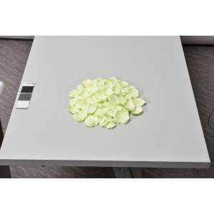ASCA アスカ ローズペタル(1袋約100枚入) (A-15735-051L)【入数:12】