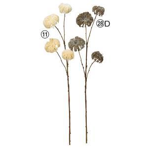 ASCA アスカ クレマチスシードスプレーX4 (A-34230-011)【入数:24】｜ECJOY！店