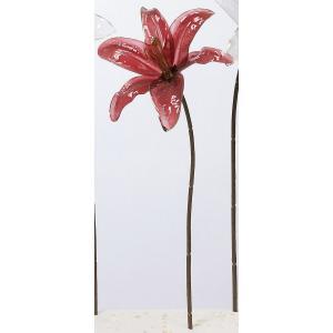 ASCA アスカ ルーセントリリィ (A-34683-015)【入数:12】 6,690円