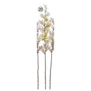 ASCA アスカ ミモザ (A-34751-020)【入数:12】｜ECJOY！店