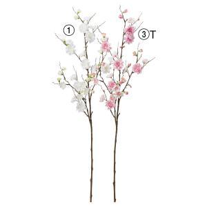ASCA アスカ 花桃X19 つぼみX23 (A-34773-003T)【入数:12】