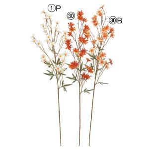 ASCA アスカ 雛菊×27 (A-35283-001P)【入数:24】