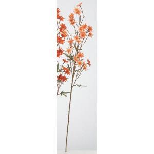 ASCA アスカ 雛菊×27 (A-35283-030B)【入数:24】