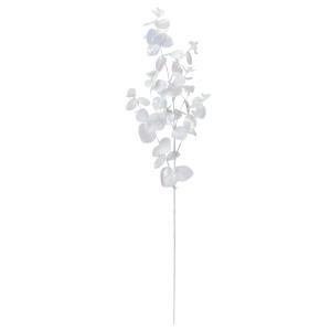 ASCA アスカ オーロラユーカリスプレー(蓄光) (AX60760-000)【入数:12】
