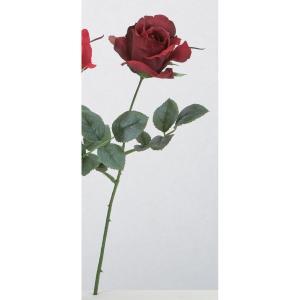 ASCA アスカ アリスローズ (A-35331-015A)【入数:24】｜ECJOY！店