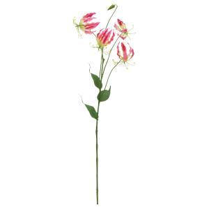 ASCA アスカ グロリオサ&times;4 つぼみ&times;1 (A-35343-003)【入数:12】｜ECJOY！店