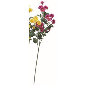 ASCA アスカ 小菊×18 (A-35247-026)【入数:12】