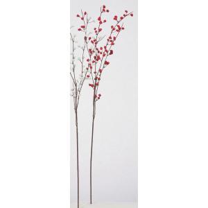 ASCA アスカ ベリースプレー (A-74687-002)【入数:24】|ECJOY!店