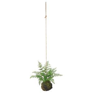 ASCA アスカ ハンギングモスボール(ファーン) (A-44707-051A)【入数:6】
