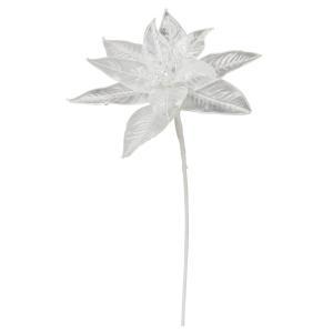 ASCA アスカ クリアポインセチア (AX60917-000)【入数:12】