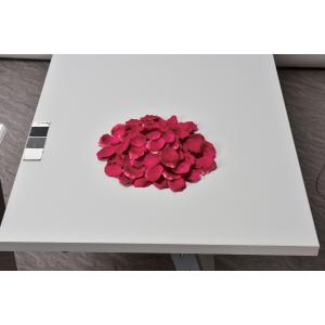 ASCA アスカ ローズペタル(1袋約100枚入) (A-15735-026)【入数:12】