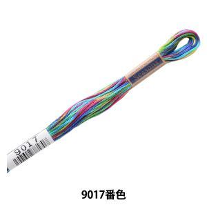 LECIEN (ルシアン) COSMO(コスモ) Seasons 25番 刺しゅう糸 色番 (9017) (80-6_9017)【入数:5】