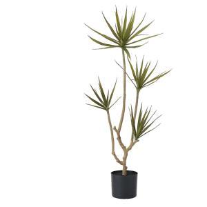 ASCA アスカ ドラセナ(ポット付)【造花観葉樹木】 (A-51137-051G) 9,650円
